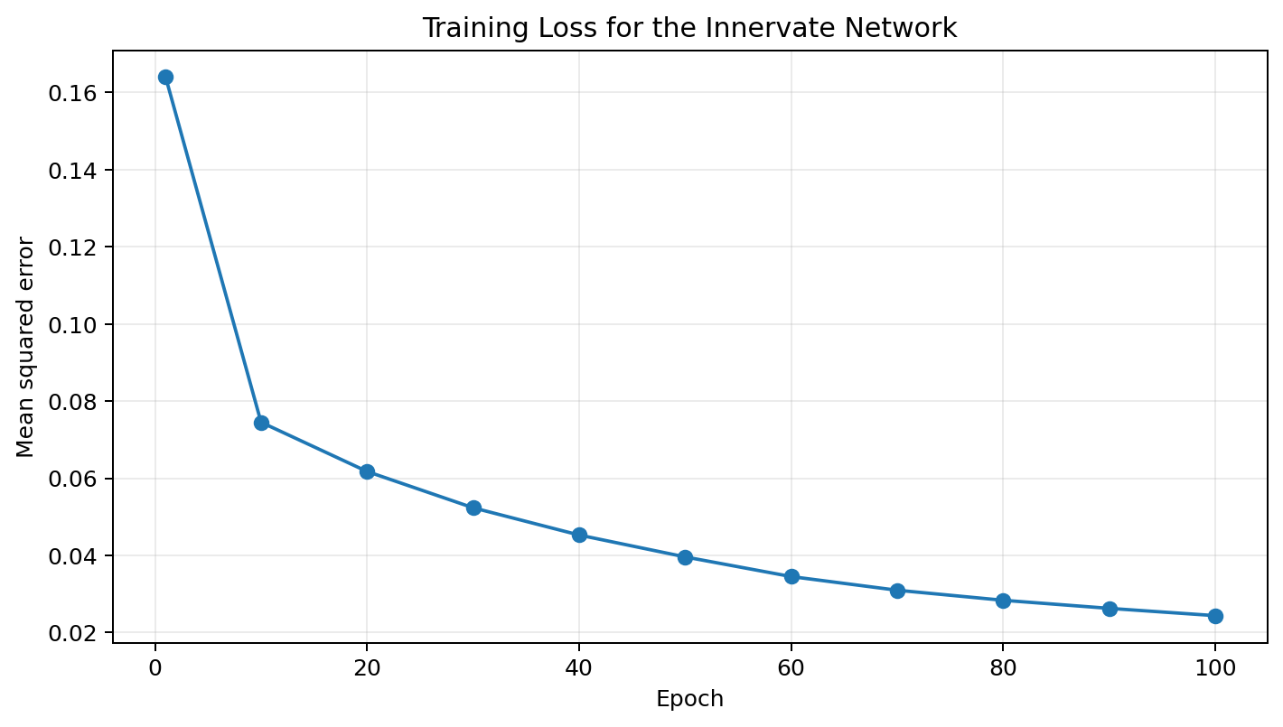 Training loss curve for the Innervate network